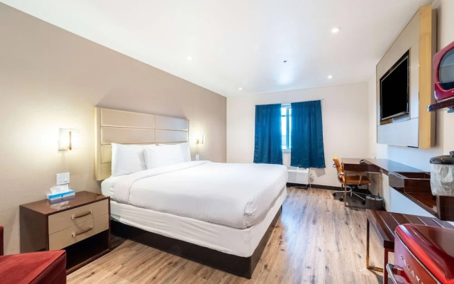 Pet Friendly Double room