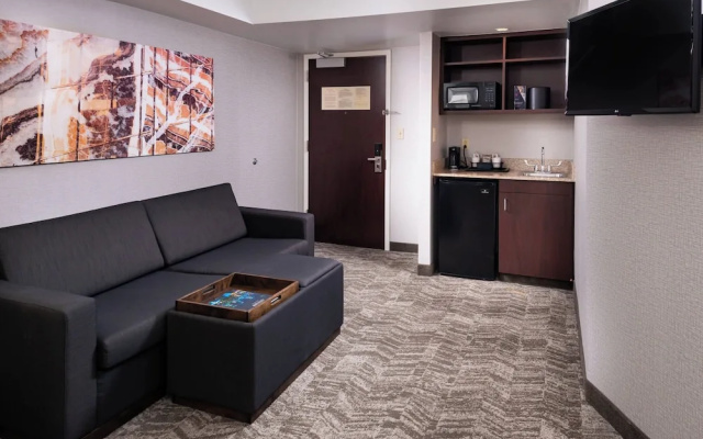 1 Bedroom Executive Suite