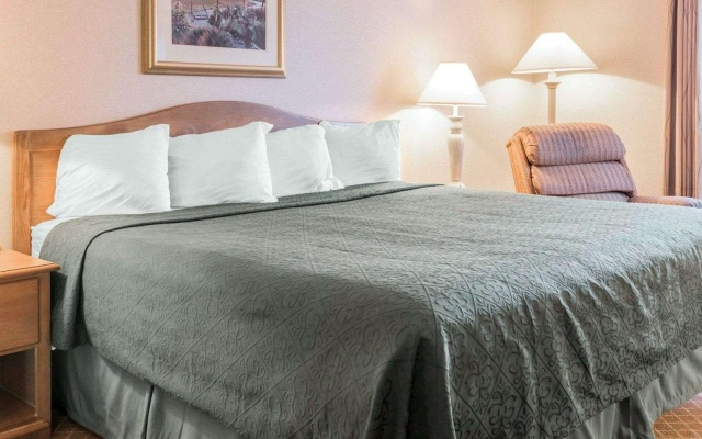 1 Bedroom Suite