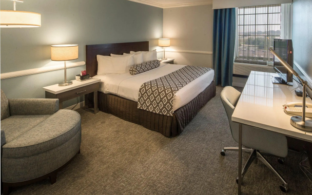 1 Bedroom Double Suite