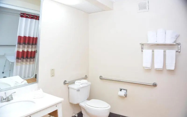 Twin Suite
