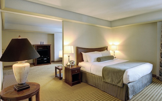 Double Suite with pool view