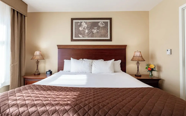 Superior Suite