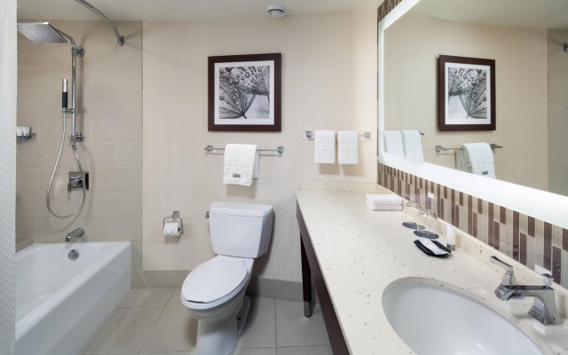 1 Bedroom Executive Suite with city view
