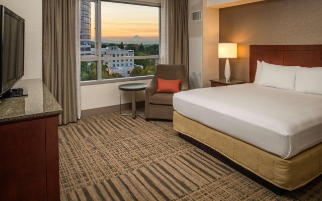 1 Bedroom Deluxe Double Suite