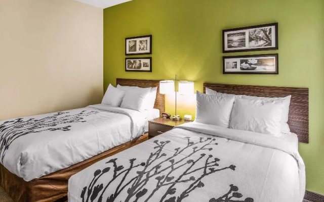 Standard Sextuple room