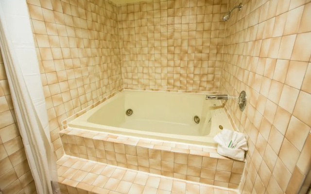 1 Bedroom Superior room