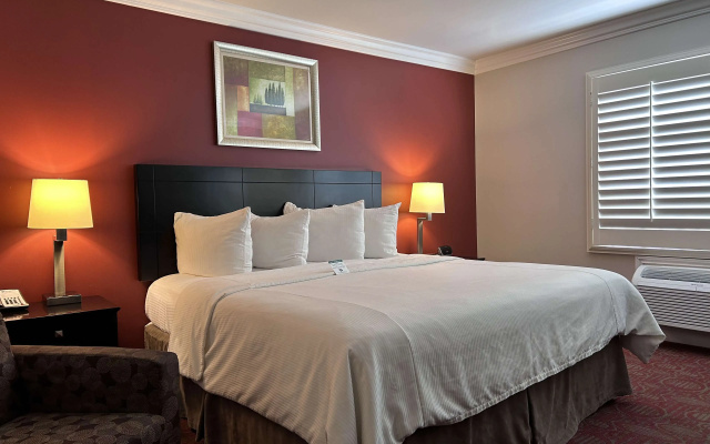 Accessible Double room