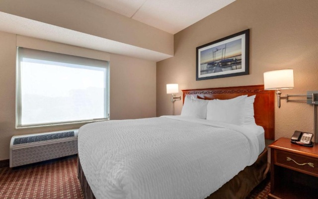 1 Bedroom Suite