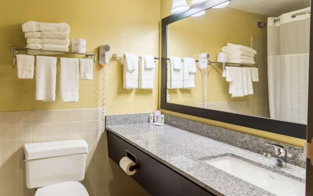 Quadruple Basement Suite