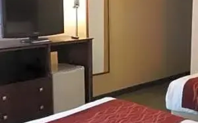 Run of House