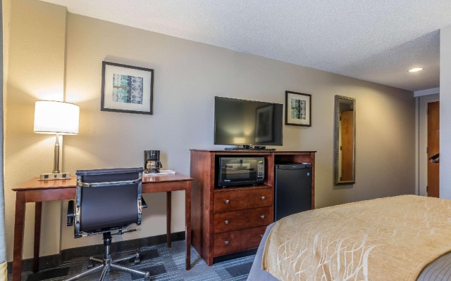 1 Bedroom Standard room