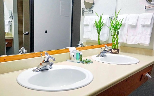 Double Suite