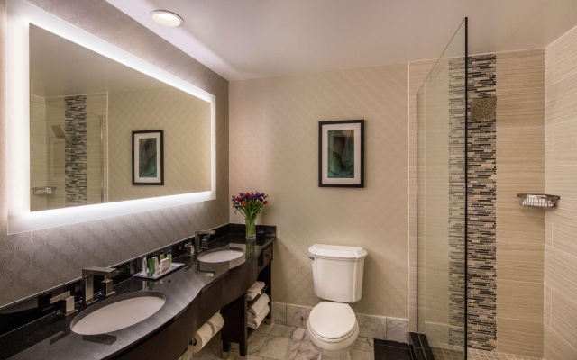 Executive Double Suite