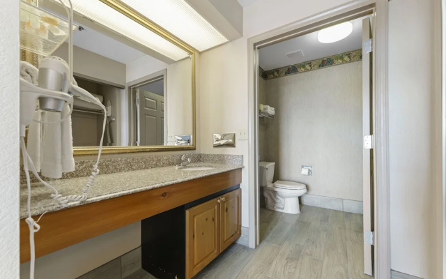 Family Apartment