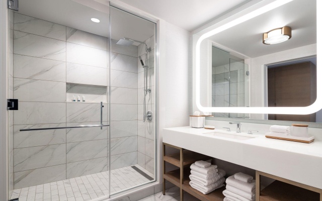 Deluxe Double Guest room