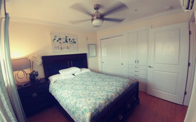 Luxury Apartment