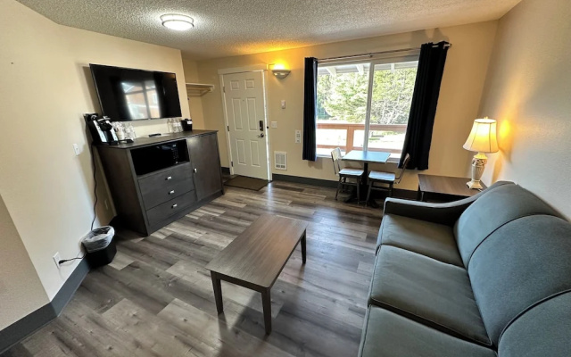 1 Bedroom Suite