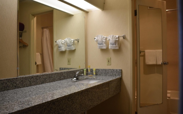 Standard room with city view
