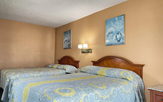 Standard Double Family room