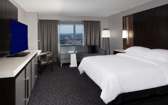Accessible Double Guest room