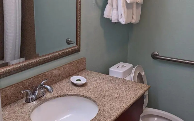 1 Bedroom Suite