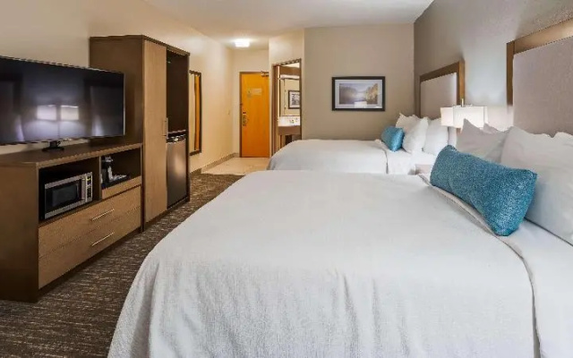 Standard Suite
