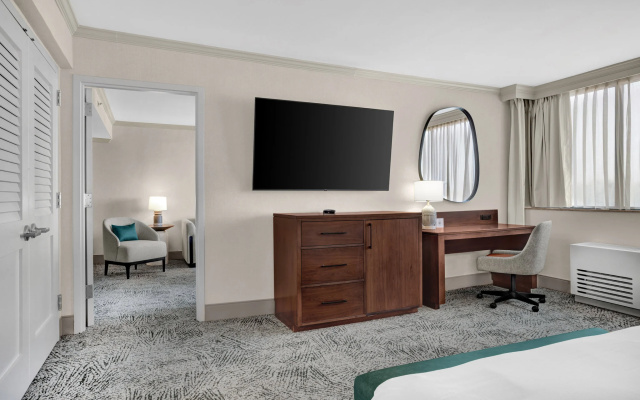 1 Bedroom Presidential Double Suite