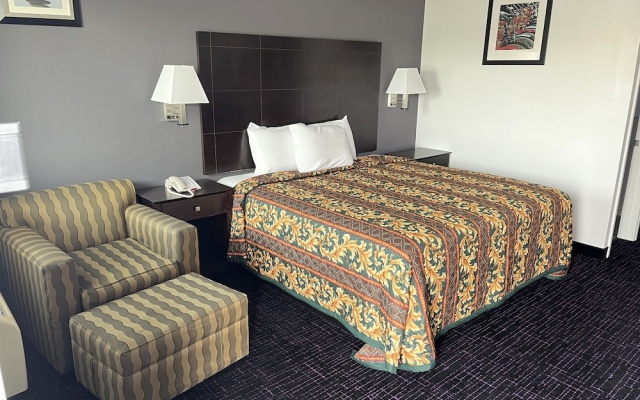 Luxury Suite