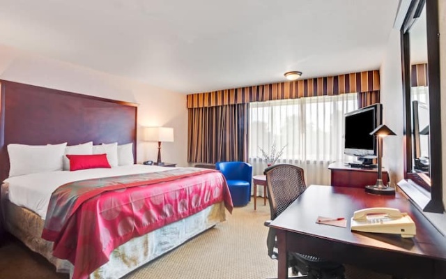 Executive room