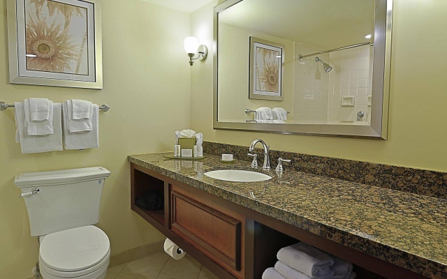 Standard Double room with river view