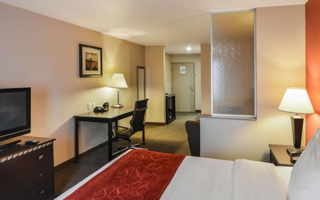 1 Bedroom Standard Double room