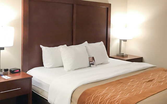 1 Bedroom Double Suite