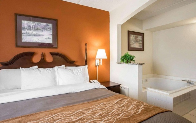 Standard Suite