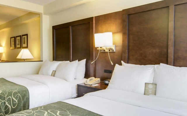 Quadruple Suite