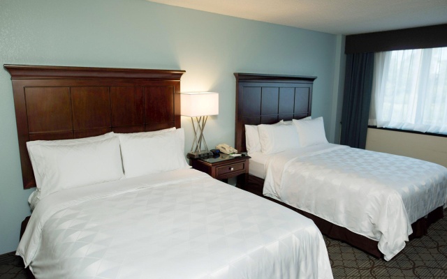 Standard Quadruple room with garden view