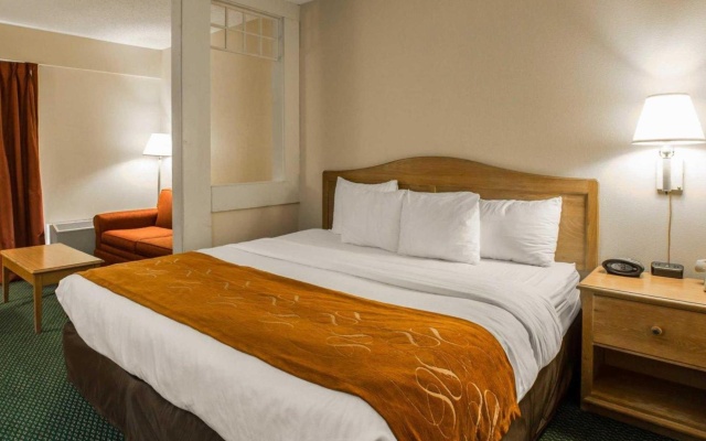 Standard Suite
