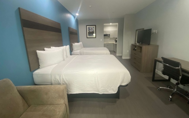 Suite