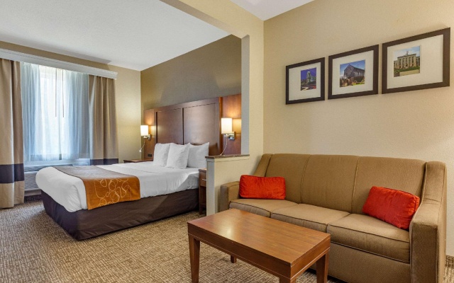 1 Bedroom Suite