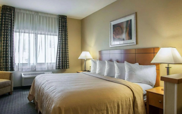 1 Bedroom Suite