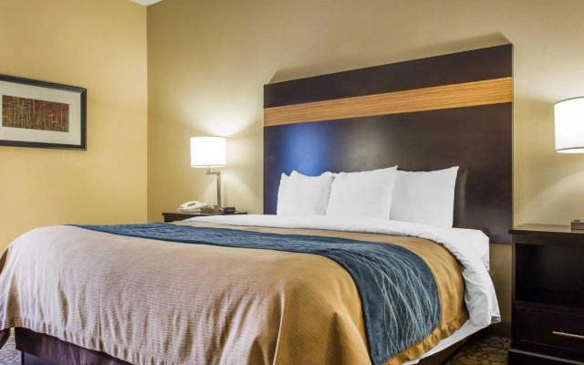 1 Bedroom Suite