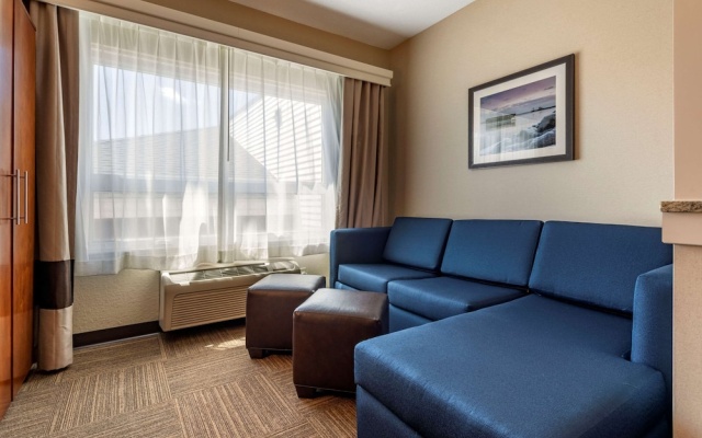Standard Suite