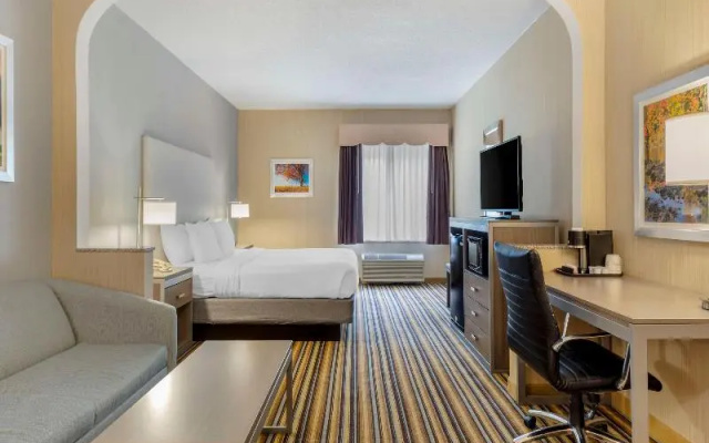 Junior Suite