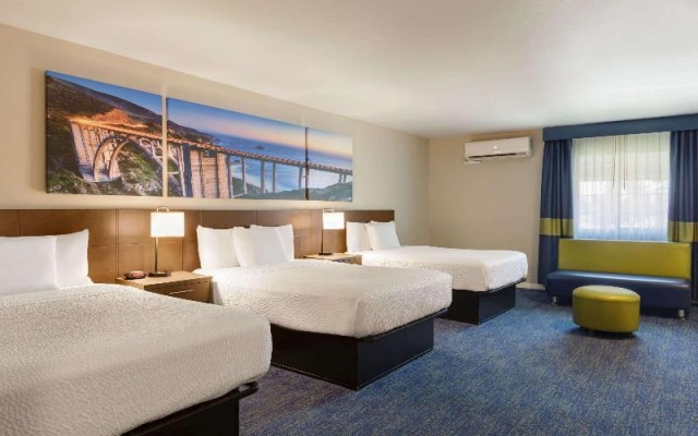 Standard Suite
