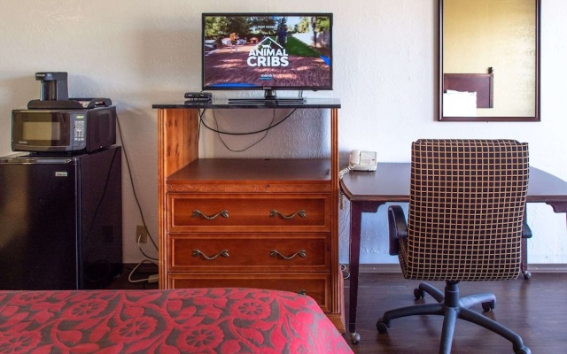 1 Bedroom Suite