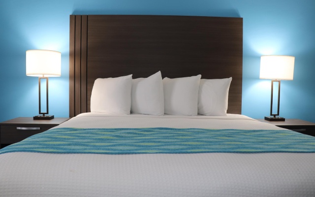 Bed in Dorm