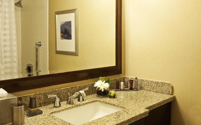 1 Bedroom Executive Double Suite