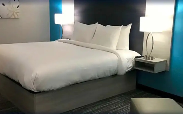 1 Bedroom Double Suite