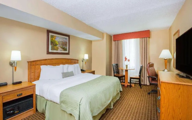 Double Suite