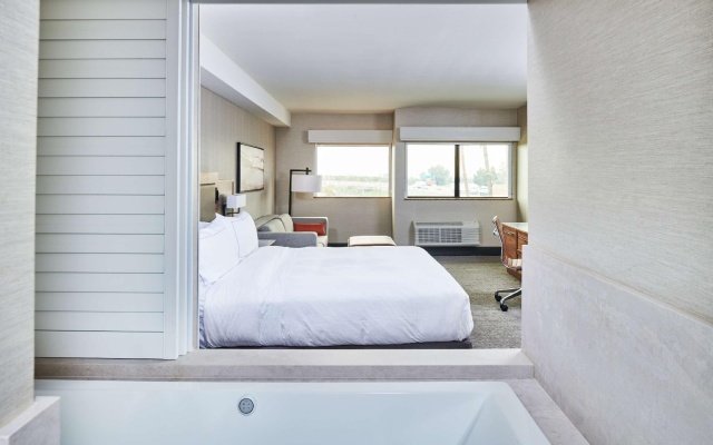 1 Bedroom Suite